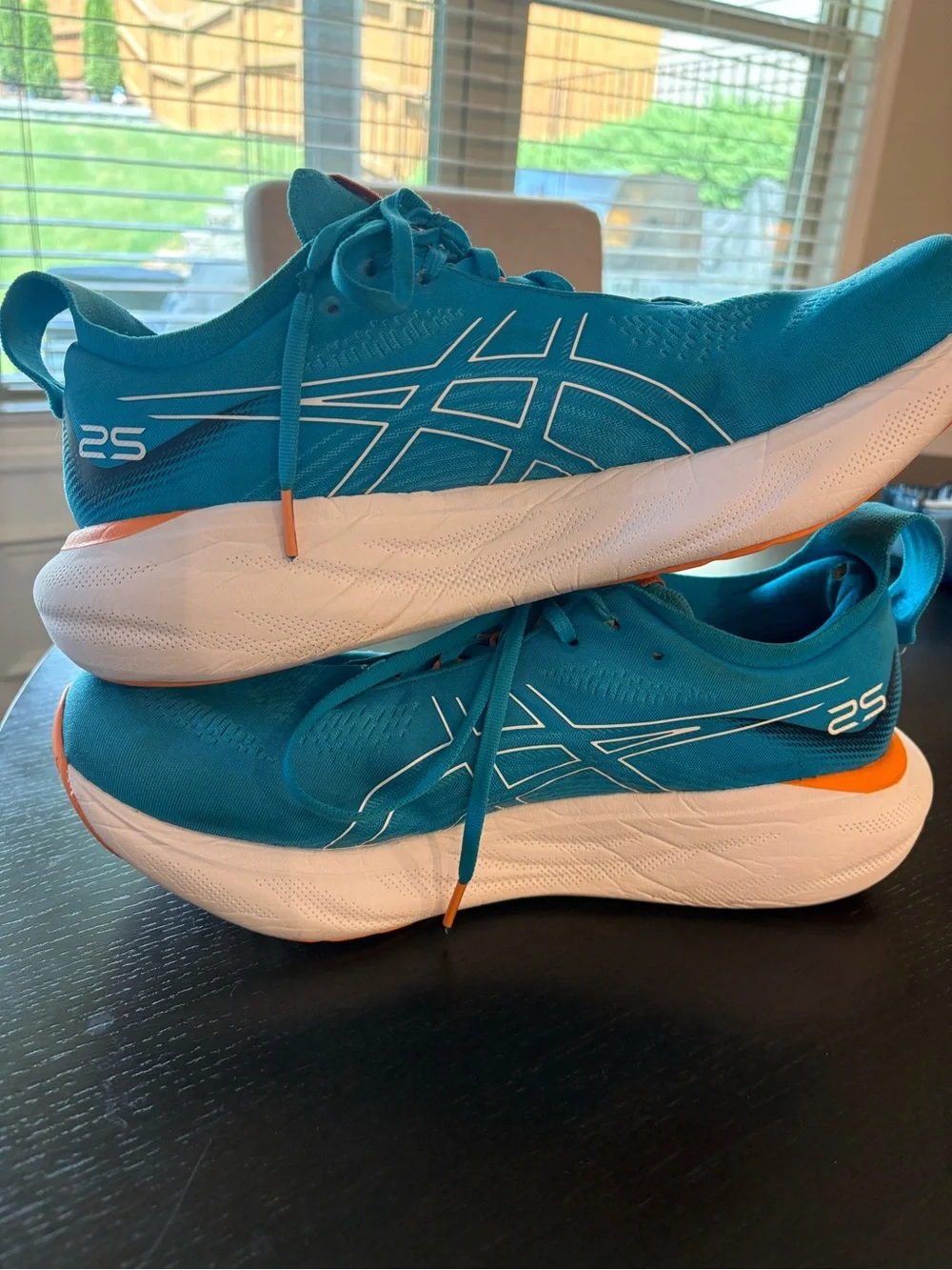 Asics Gel Nimbus 25 - Size 12